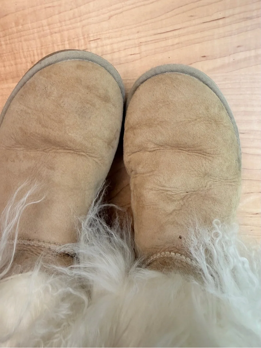 UGG Cream Sheepskin Cuff Short Suede Boots